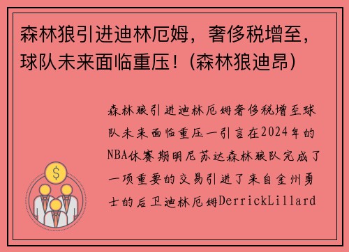 森林狼引进迪林厄姆，奢侈税增至，球队未来面临重压！(森林狼迪昂)