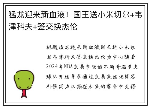 猛龙迎来新血液！国王送小米切尔+韦津科夫+签交换杰伦